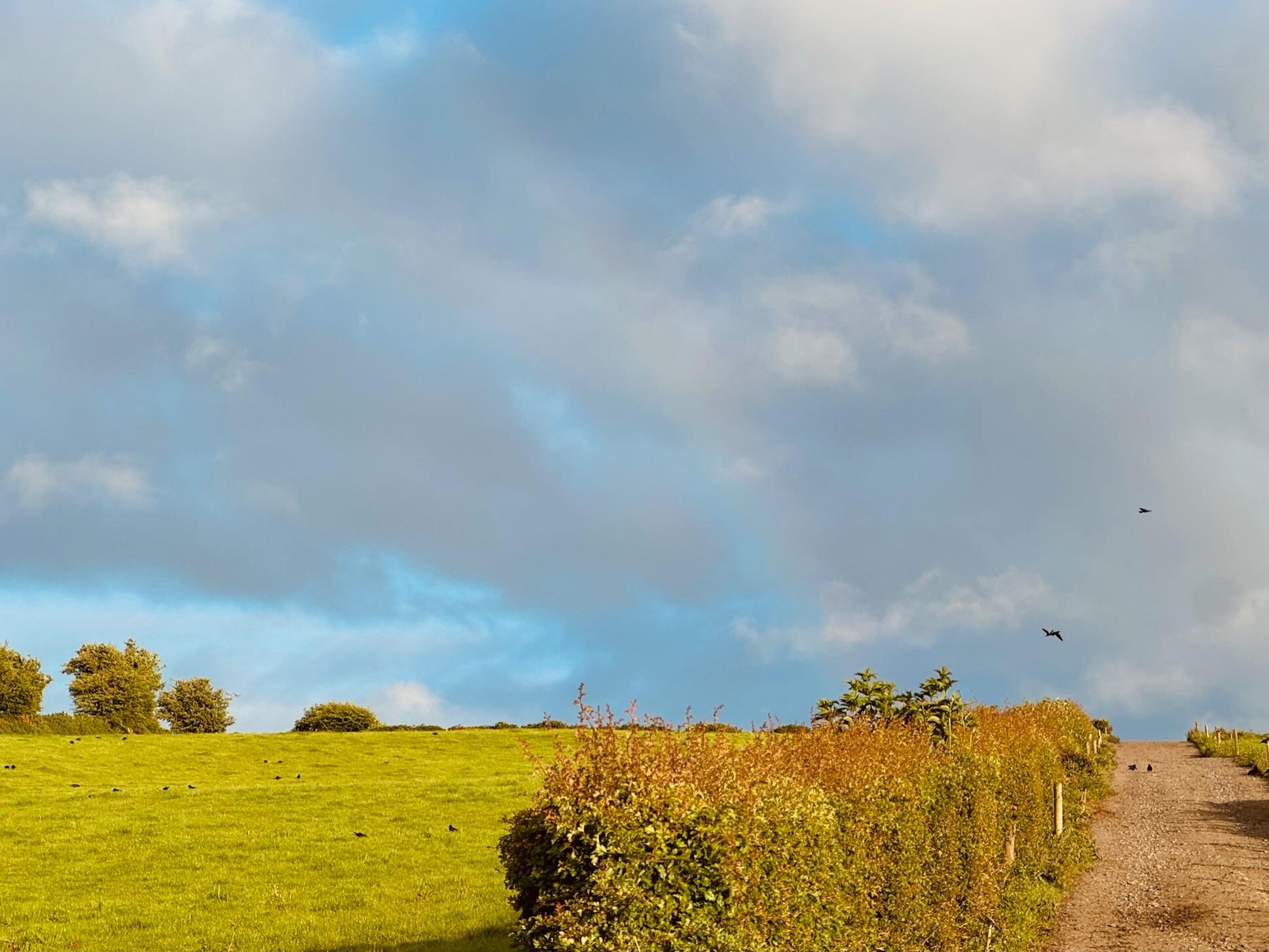 An Irish rainbow over the Farmhouse fields was icing on the cake