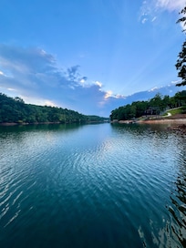 View from the boat dock