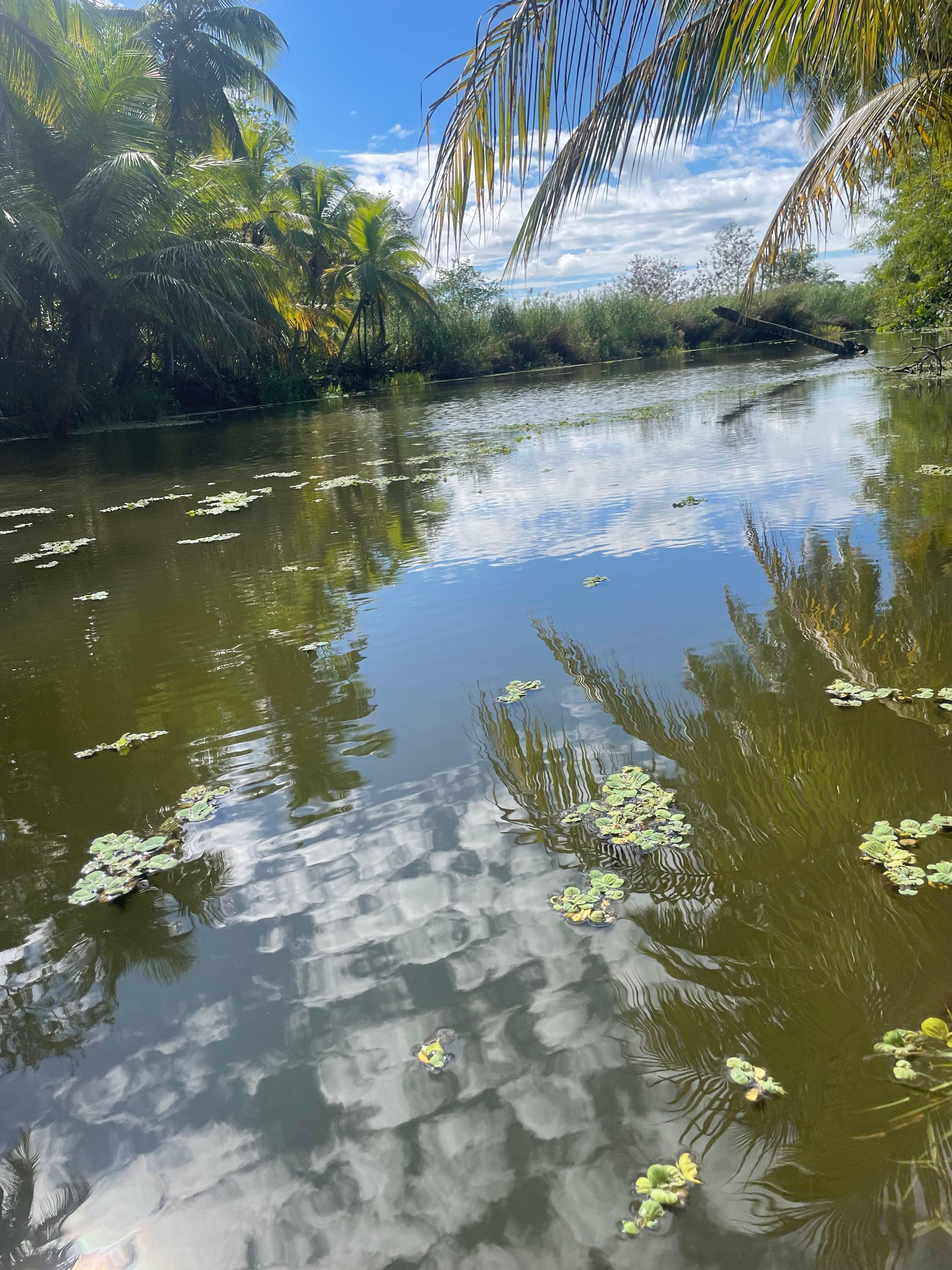 River/slough view from deck 