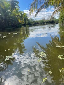 River/slough view from deck