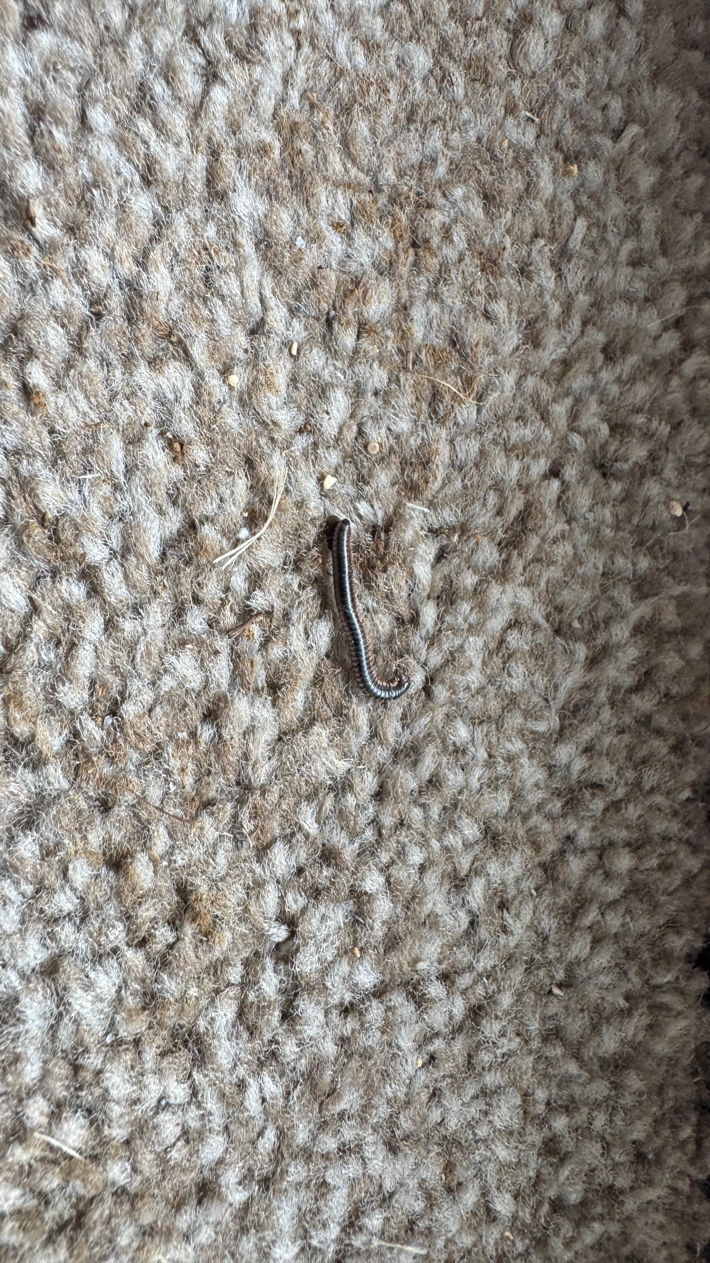 One example of a few we found