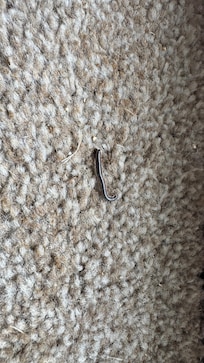 One example of a few we found