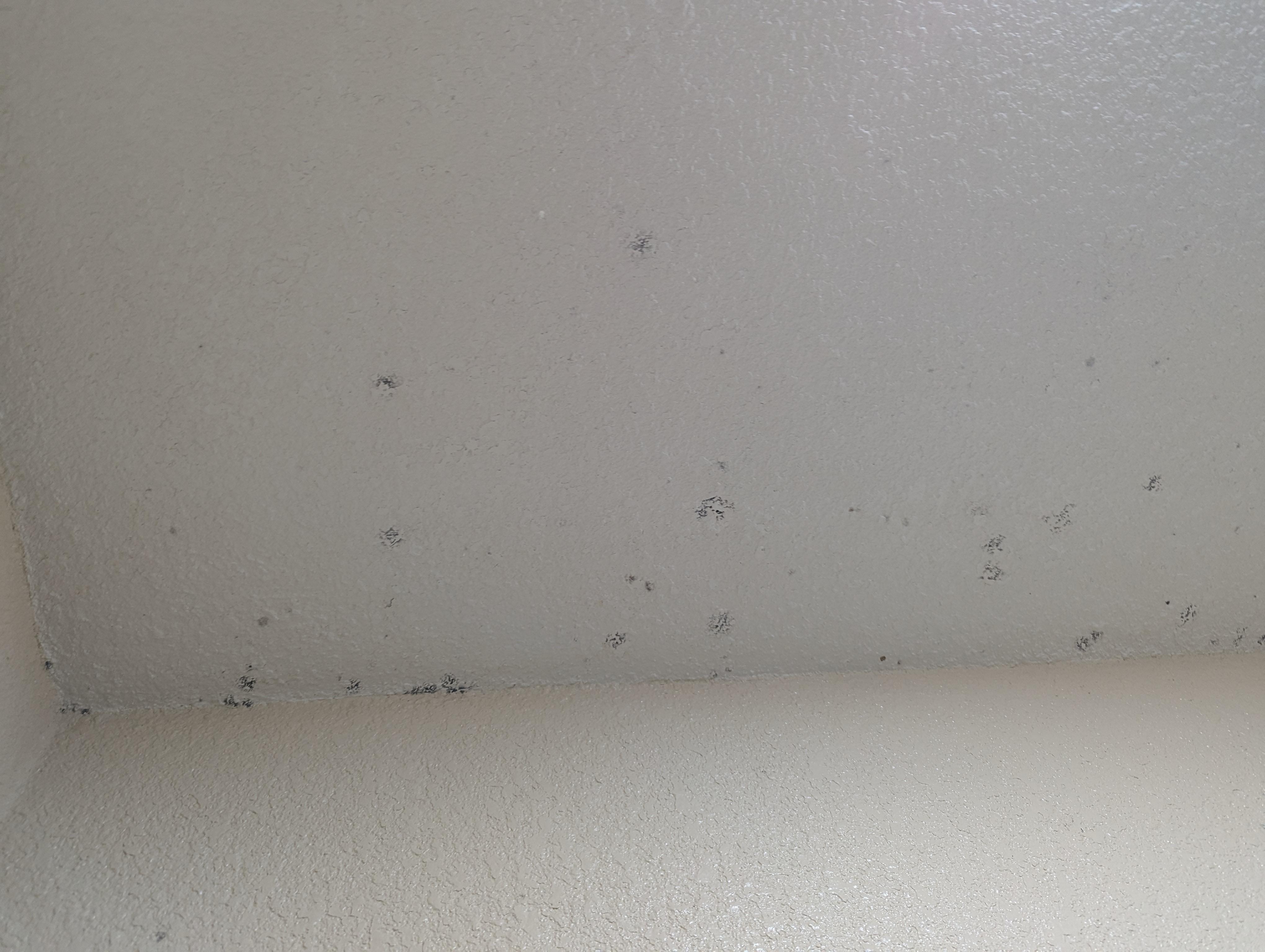 bathroom ceiling