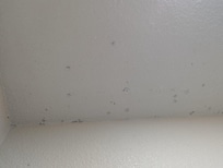 bathroom ceiling