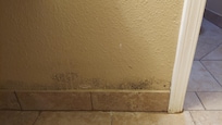 Walls were like this throughout