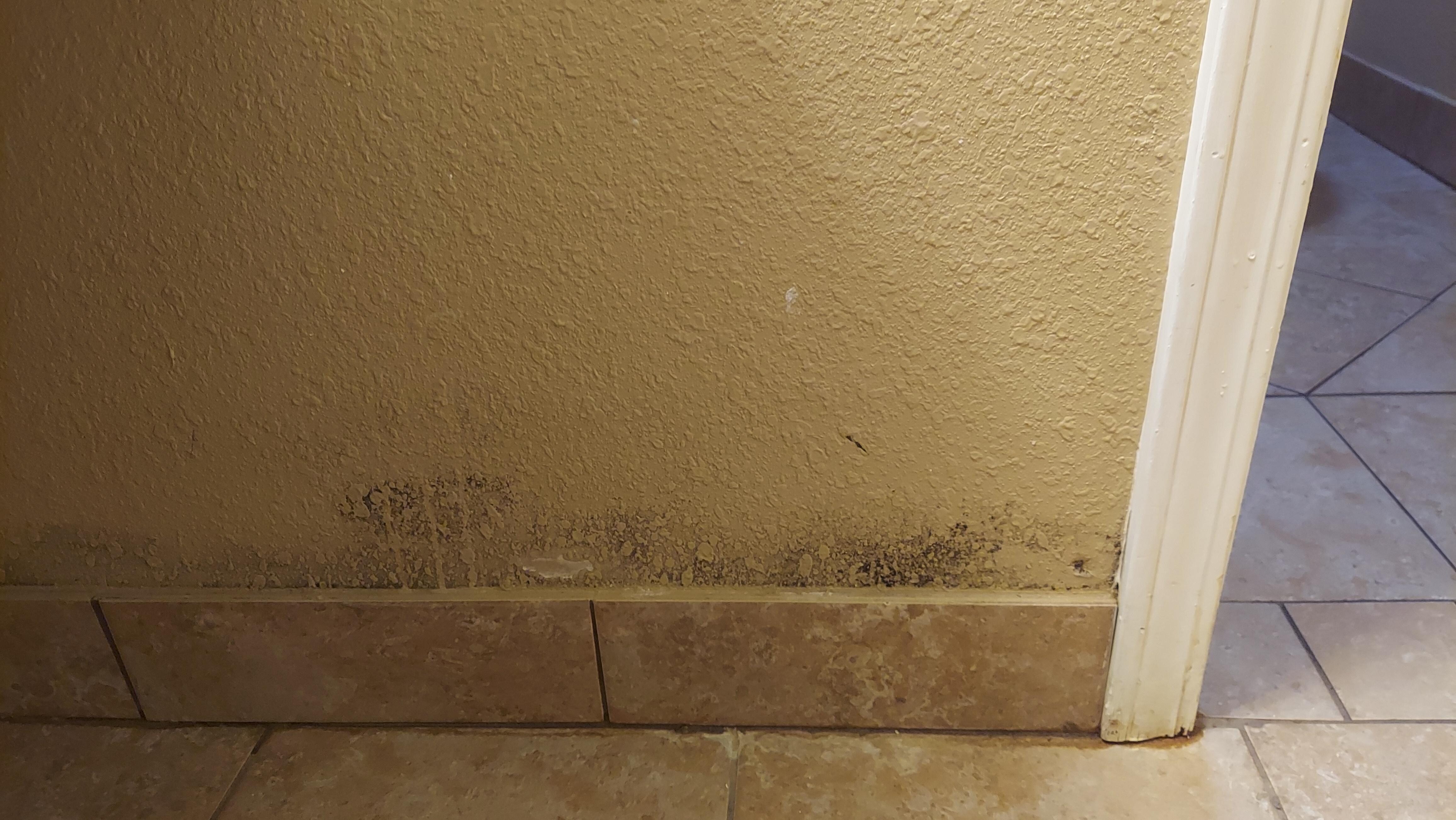 Walls were like this throughout