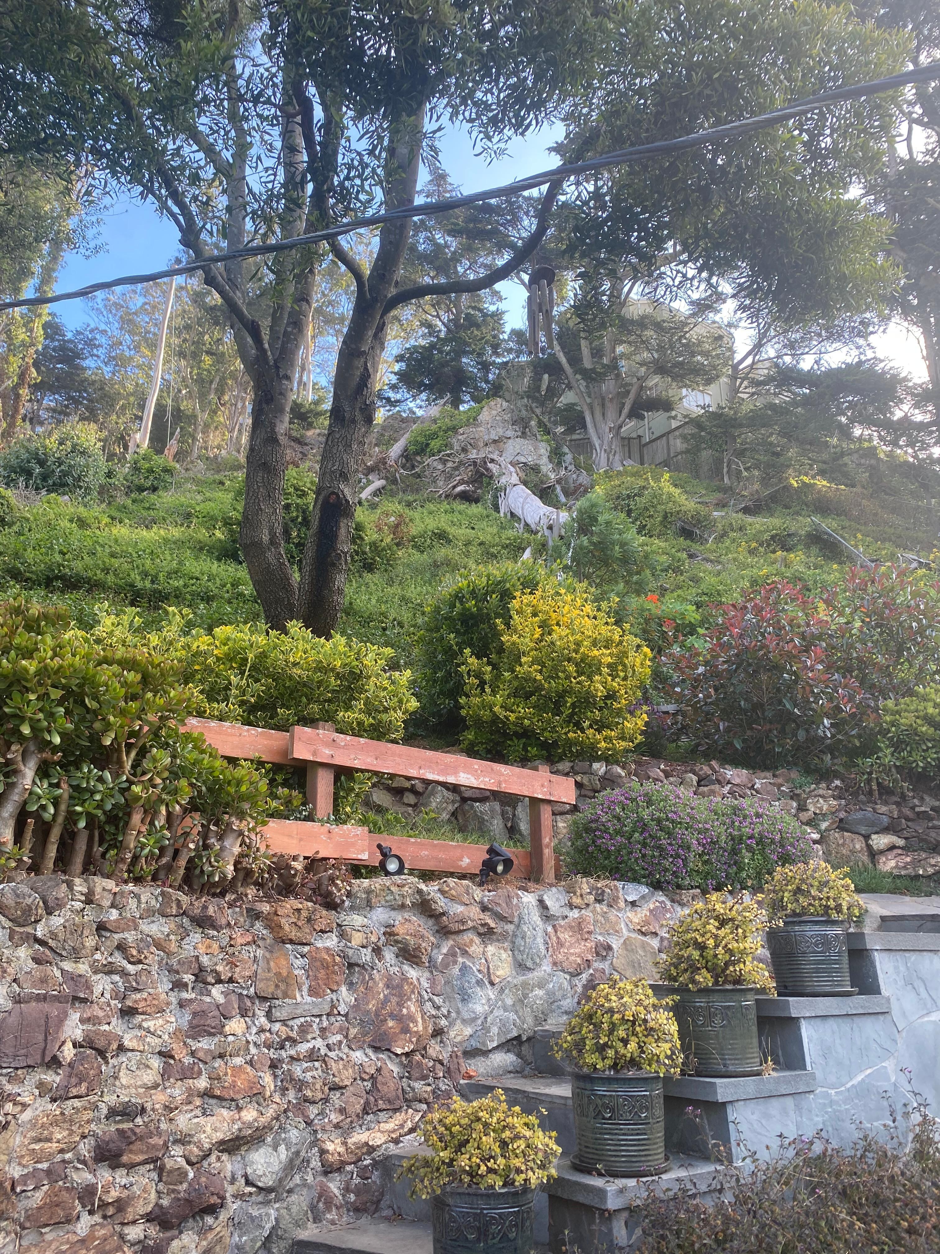 In the backyard.