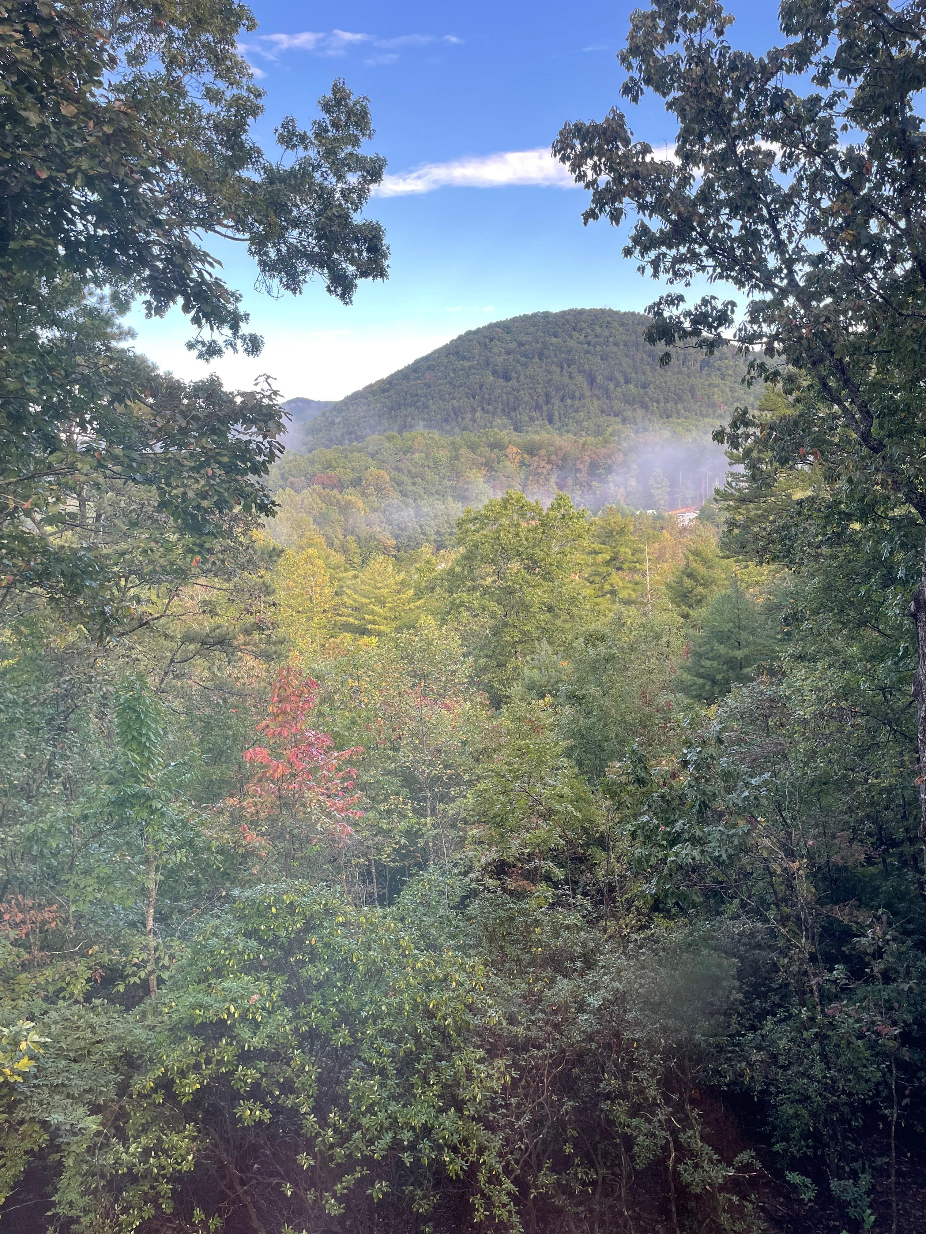 View from rear deck. 