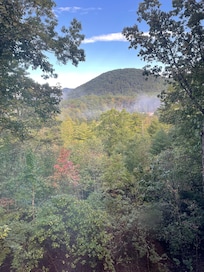 View from rear deck.