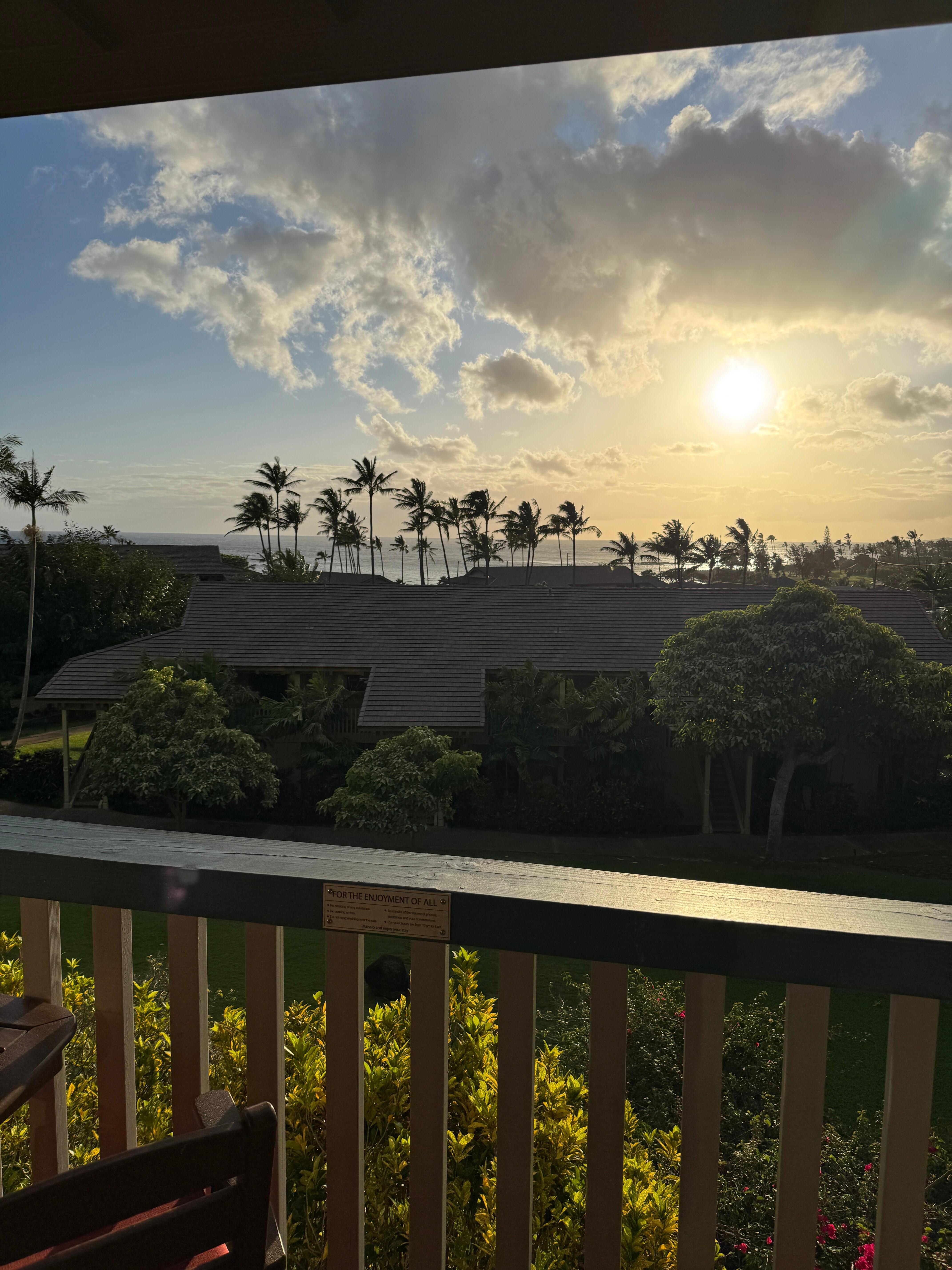 Late afternoon from the lanai