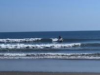Surfers at the beach just a quick walk away!