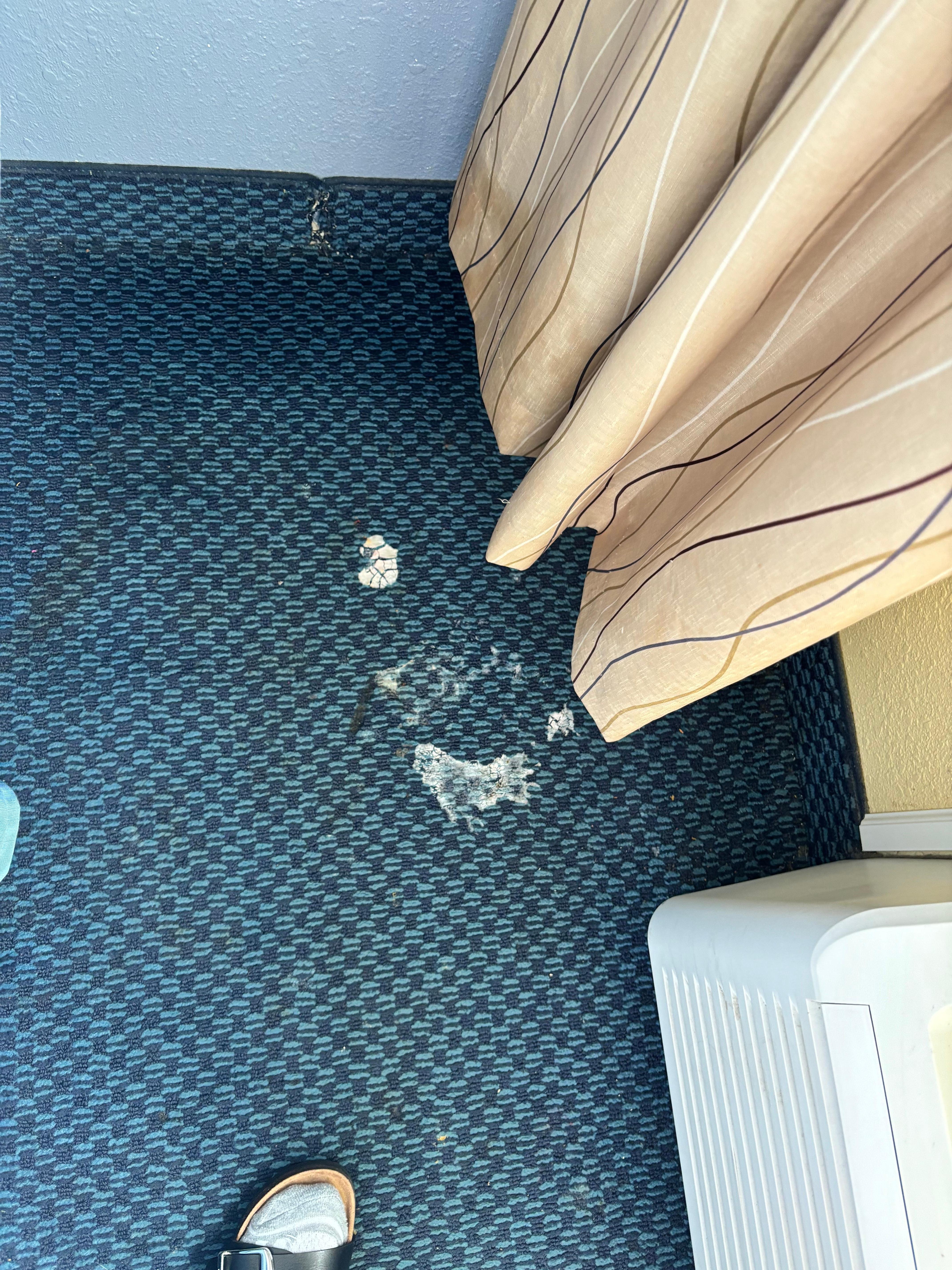 Carpet by the window