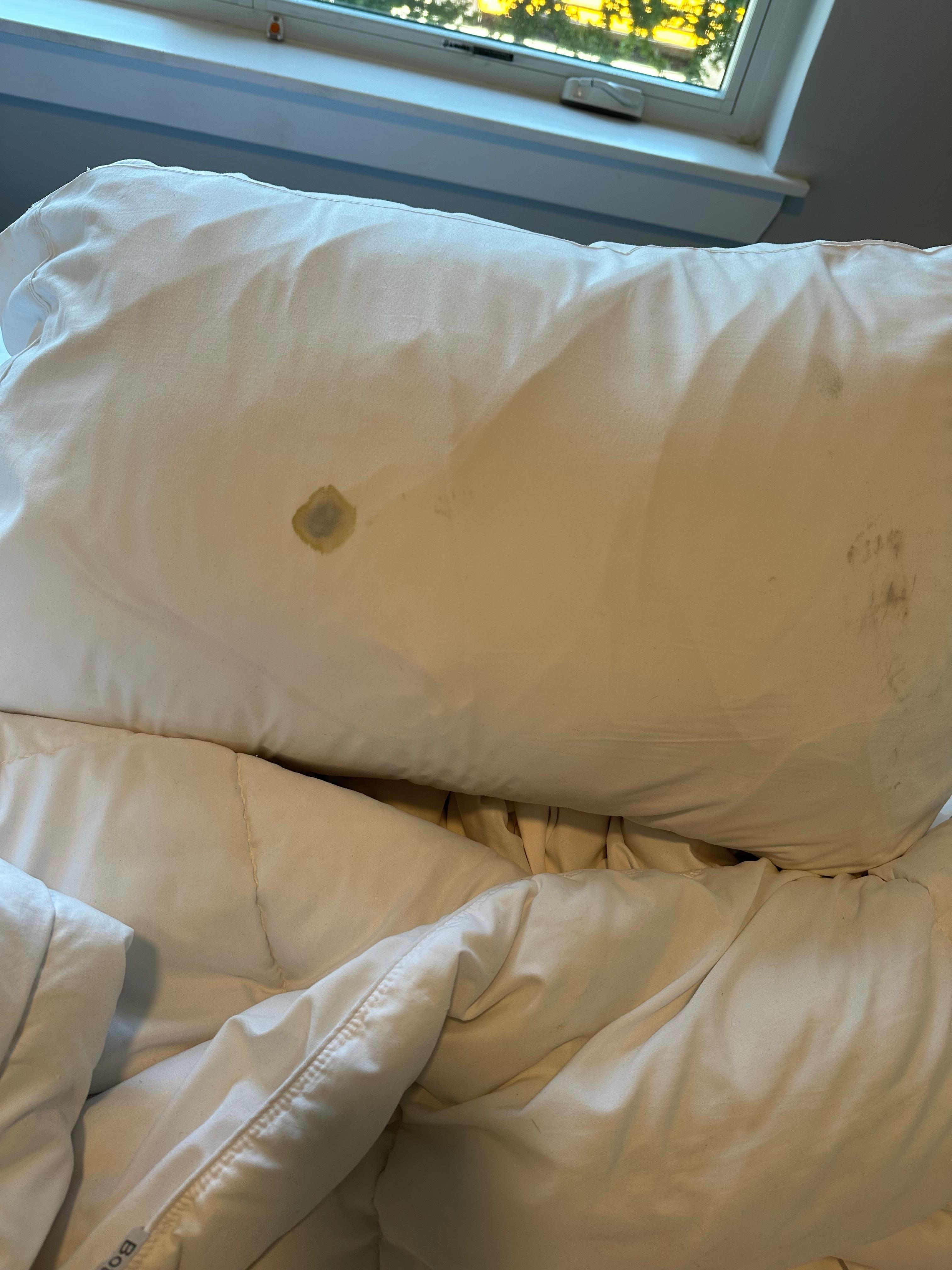 This was my pillow! 