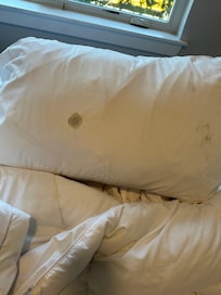 This was my pillow!