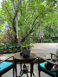 Front garden
