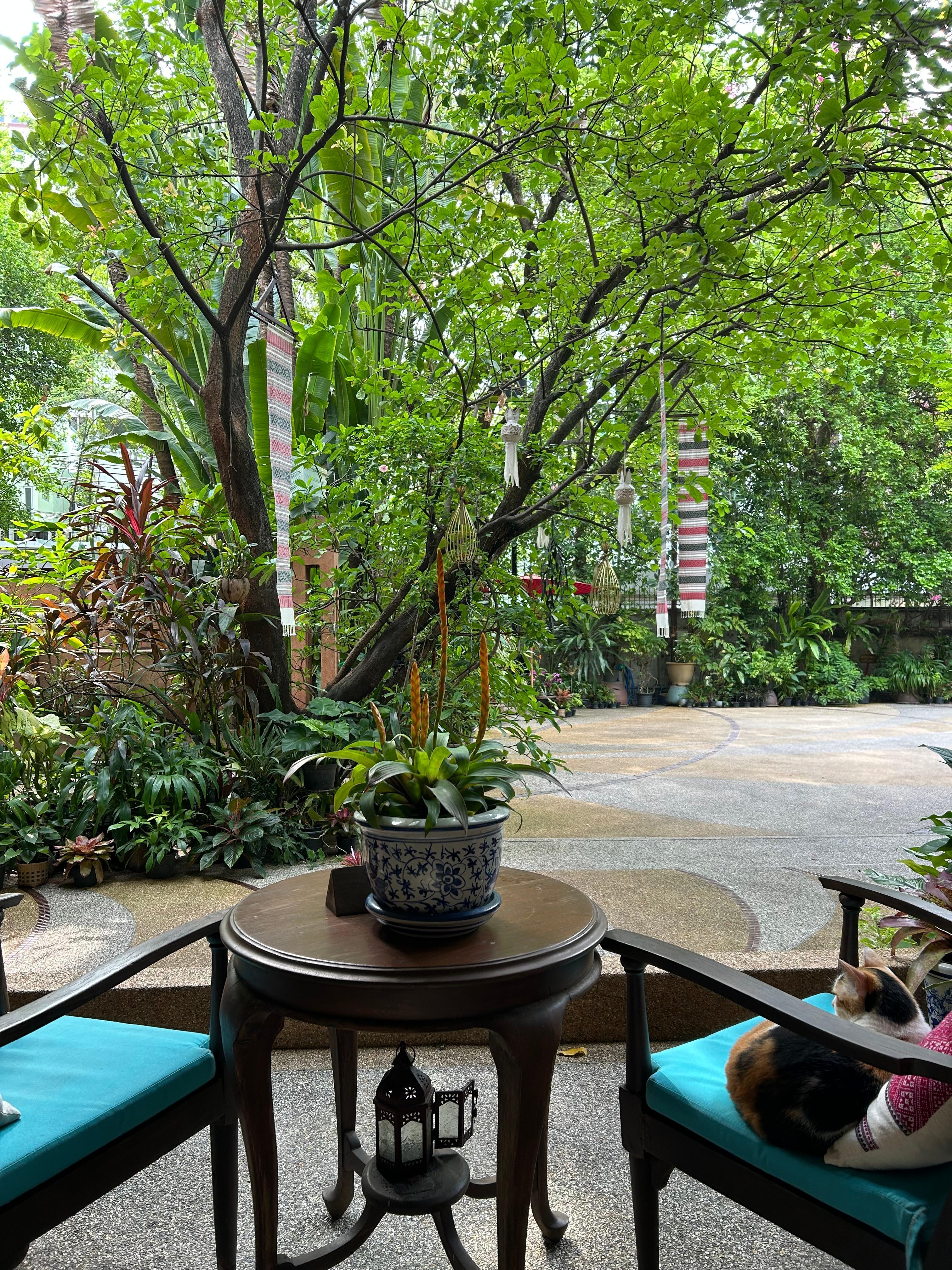 Front garden