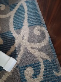 The nail clippings