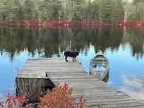 Our puppy"Lily" checking out the
canoe