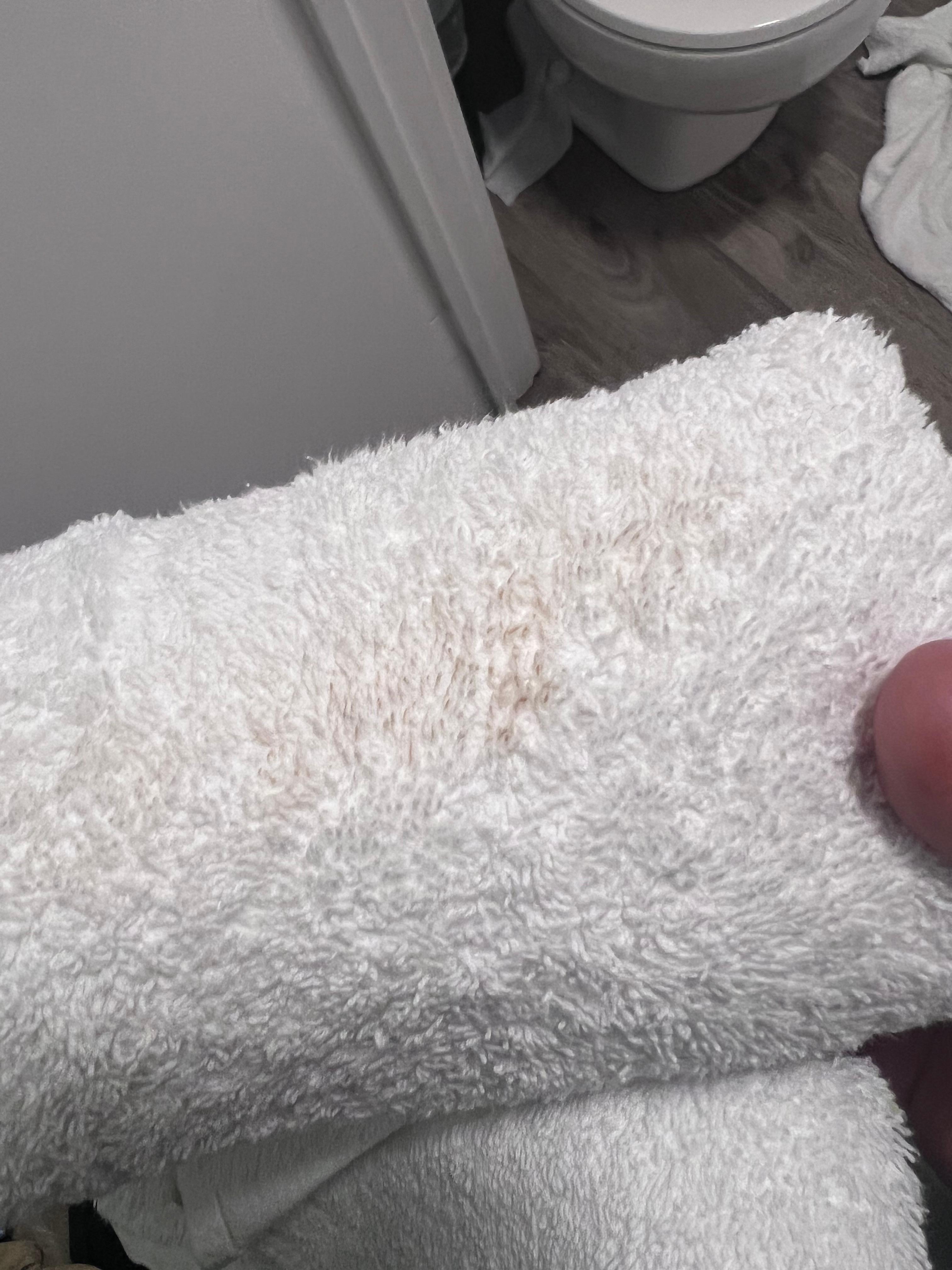 Dirty towel that was folded up in room. 