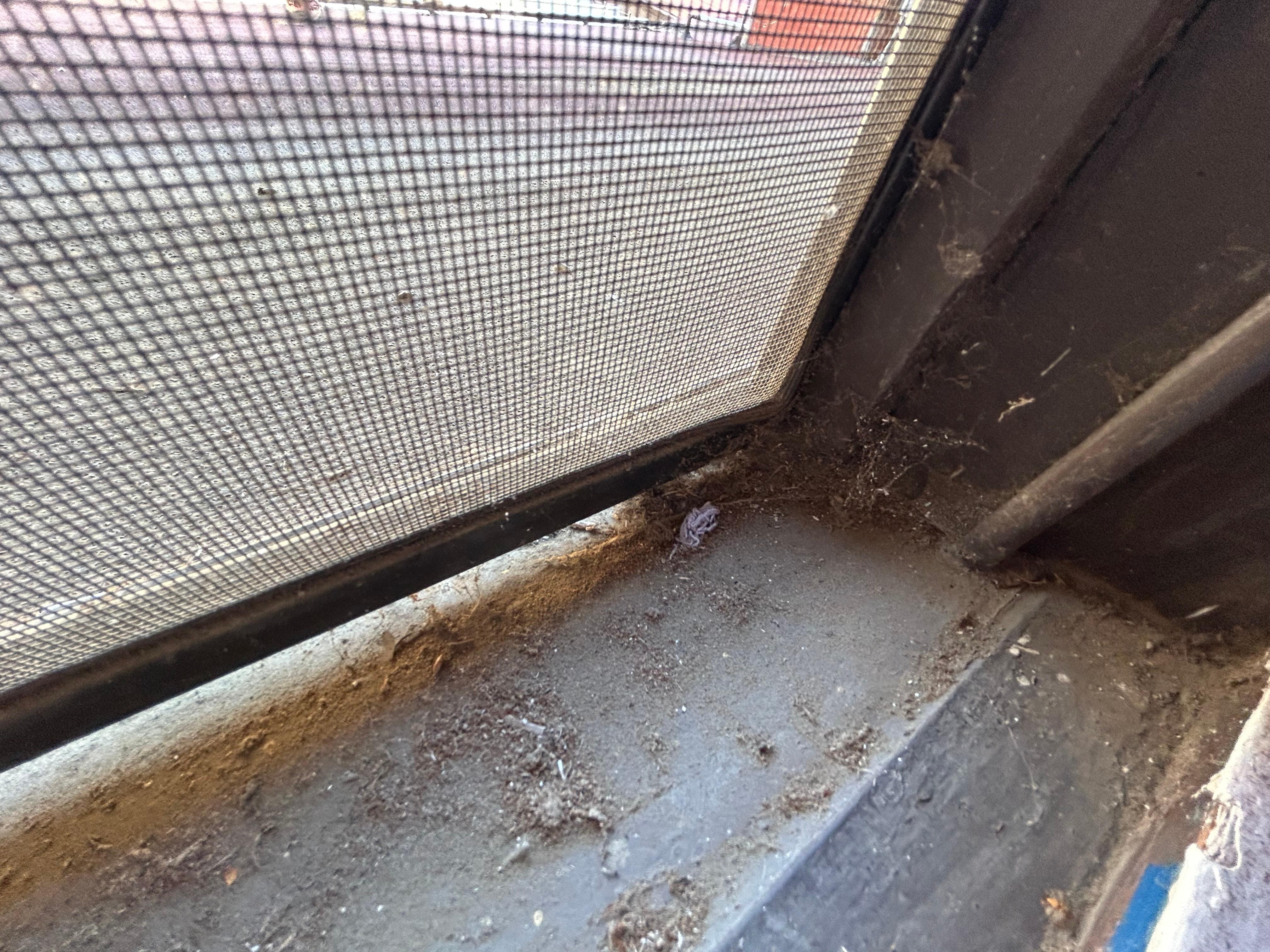 Filthy, broken windows 