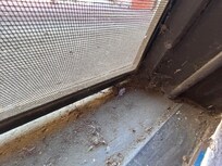 Filthy, broken windows