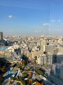 View from bedroom window