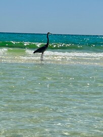 This guy got so close to us!