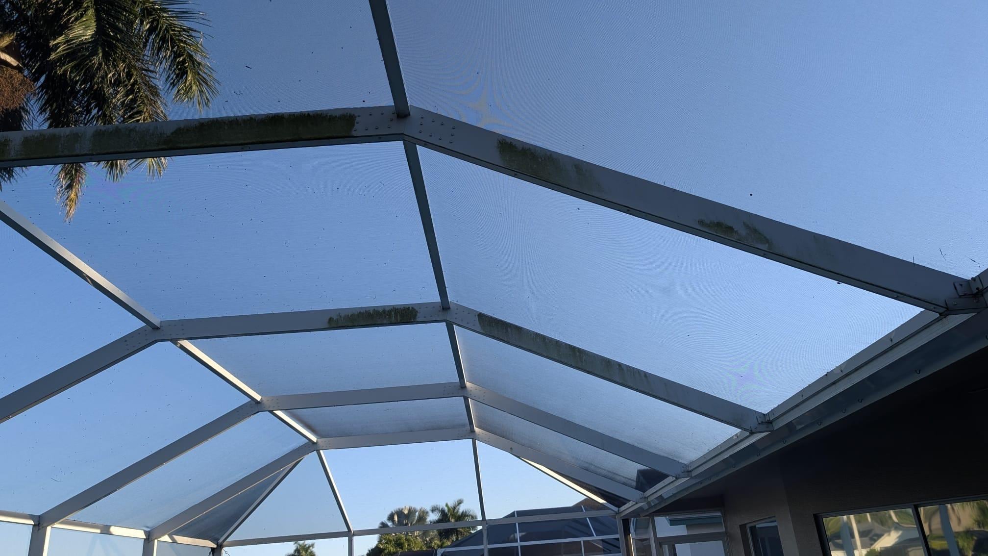 Mold on frame of pool guard 