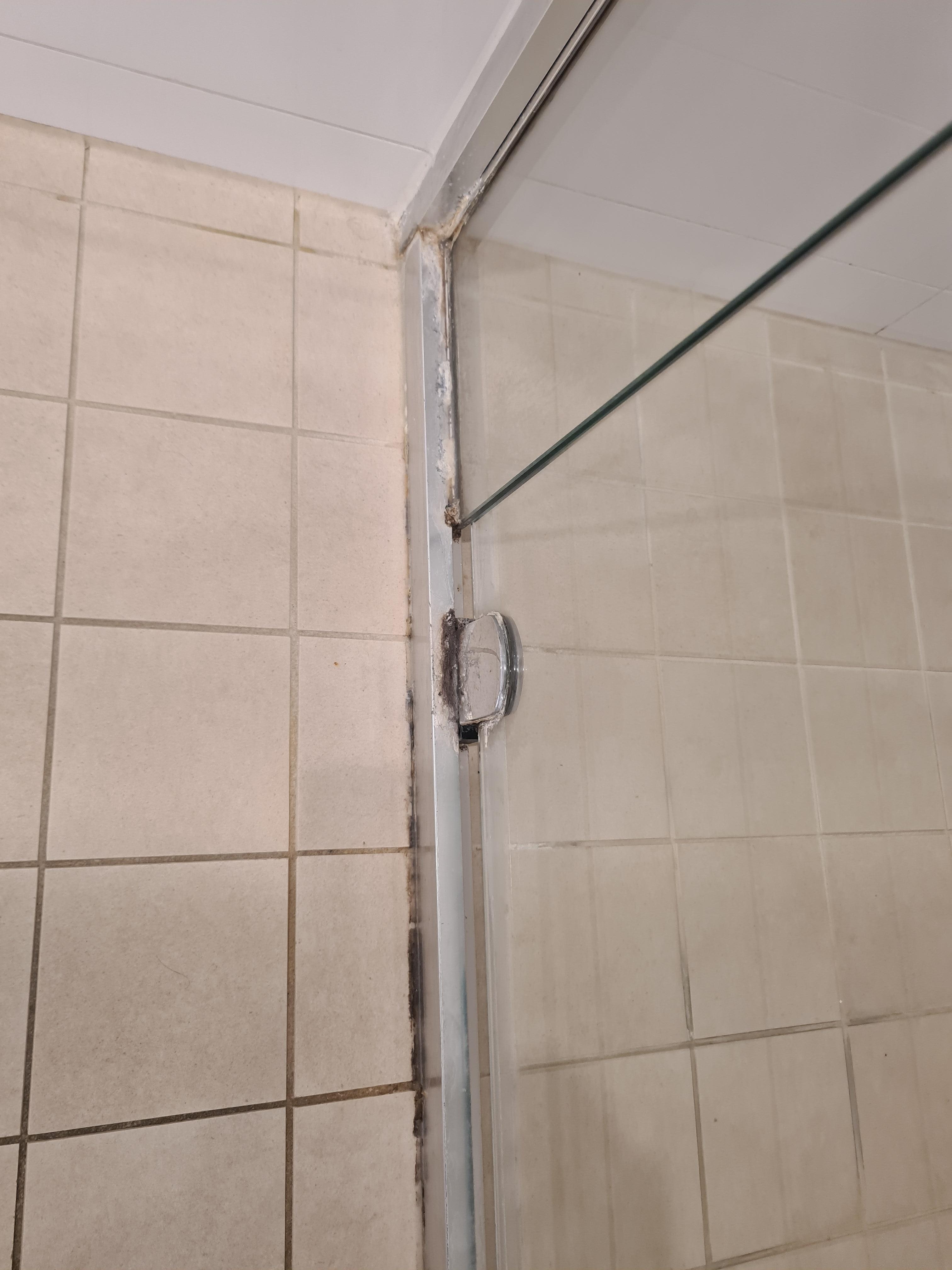 Mouldy shower screen