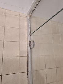Mouldy shower screen