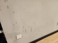 Dated walls