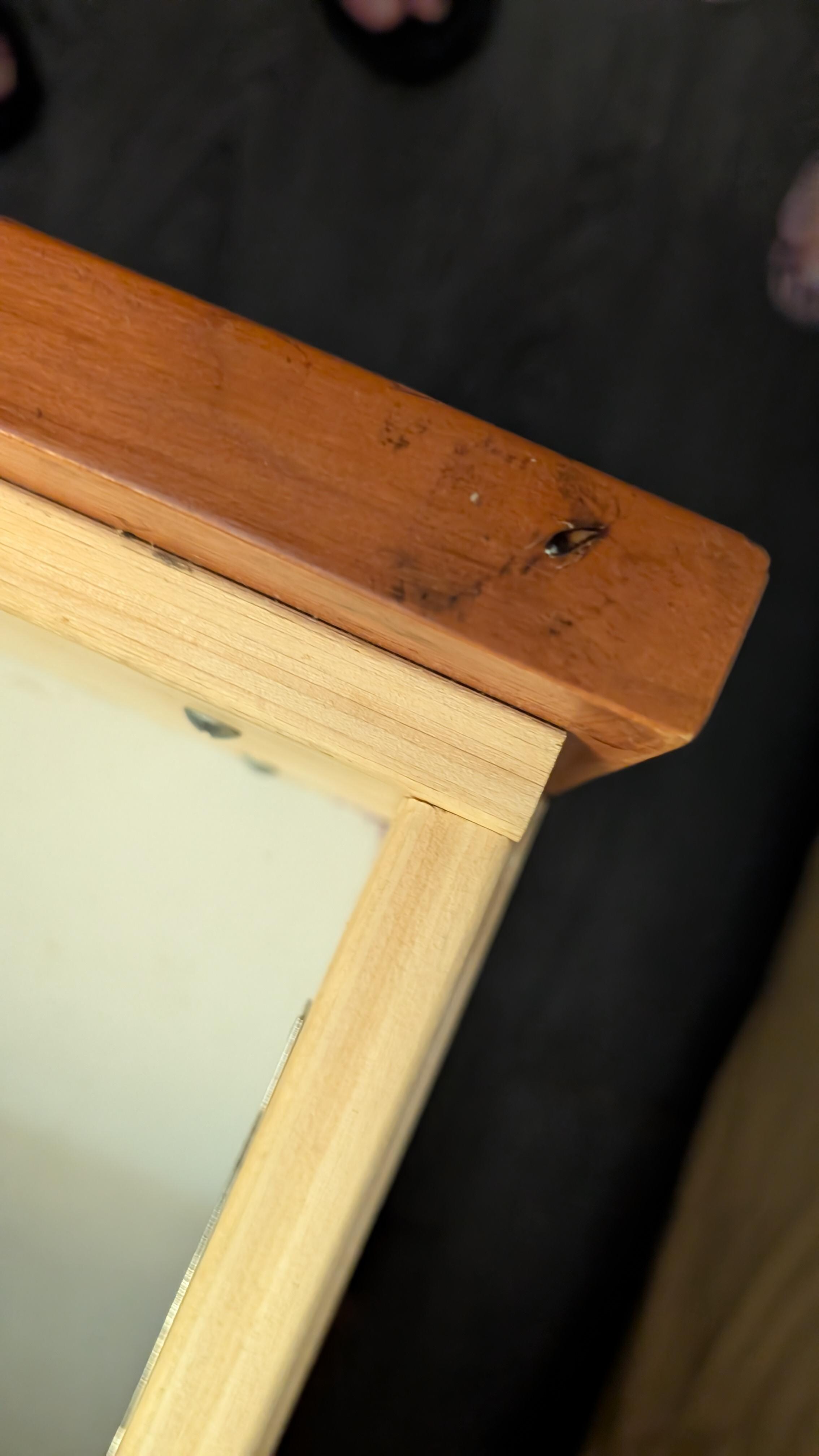 Roach in dresser and above bed