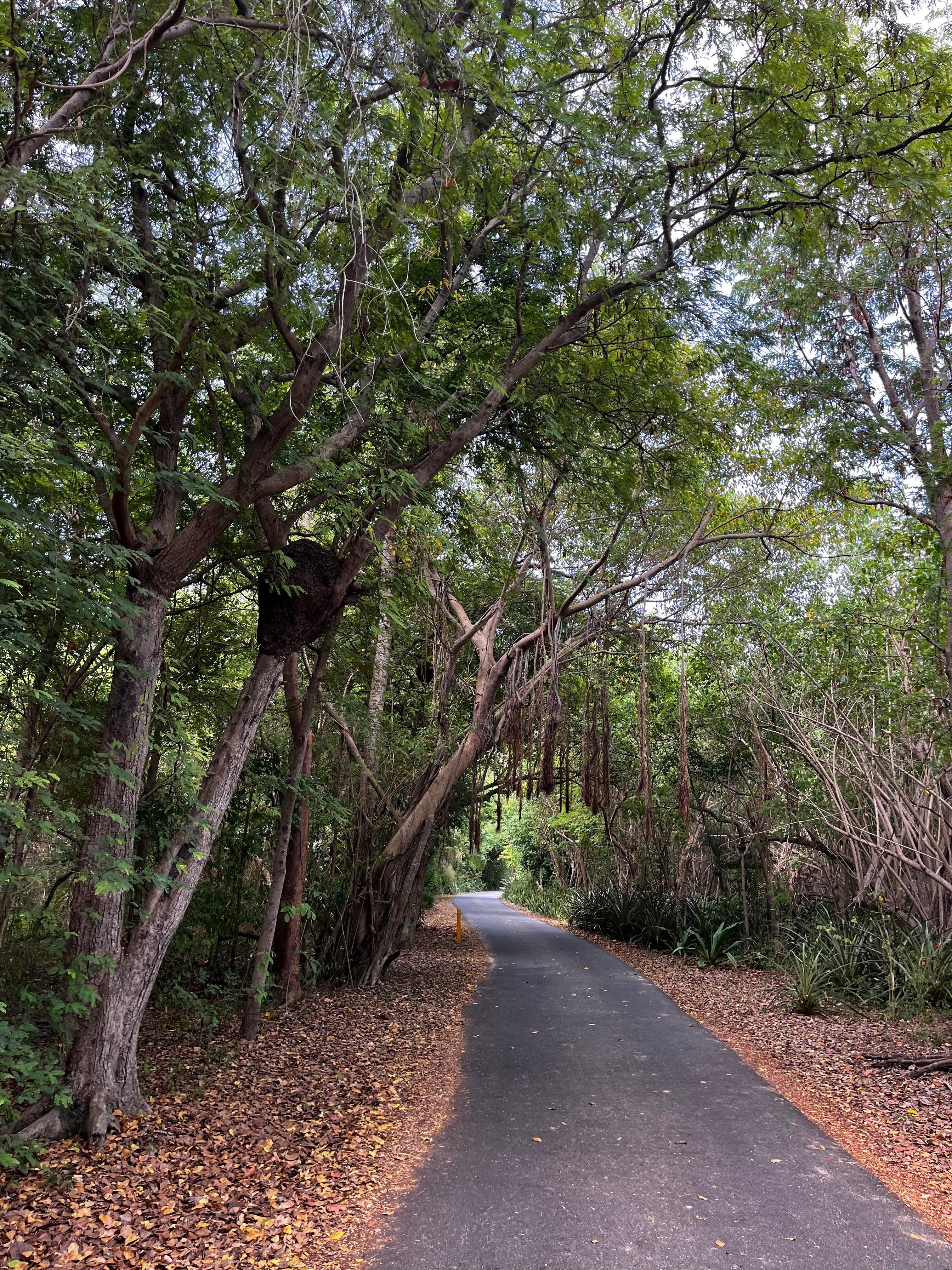 Walking trail near condo