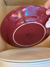 Bug infestation so bad the bugs were in the kitchen cabinets on plates, in grease filter above stove, in lint trap in dryer