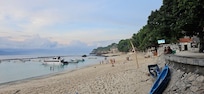 Mushroom Bay