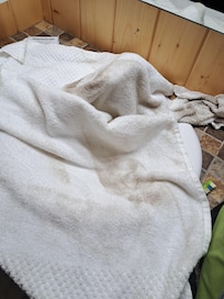 This is the towel I had to use to wash my floor so my feet wouldn't get dirty. Shameful!