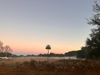 The view out back was just beautiful. So peaceful.