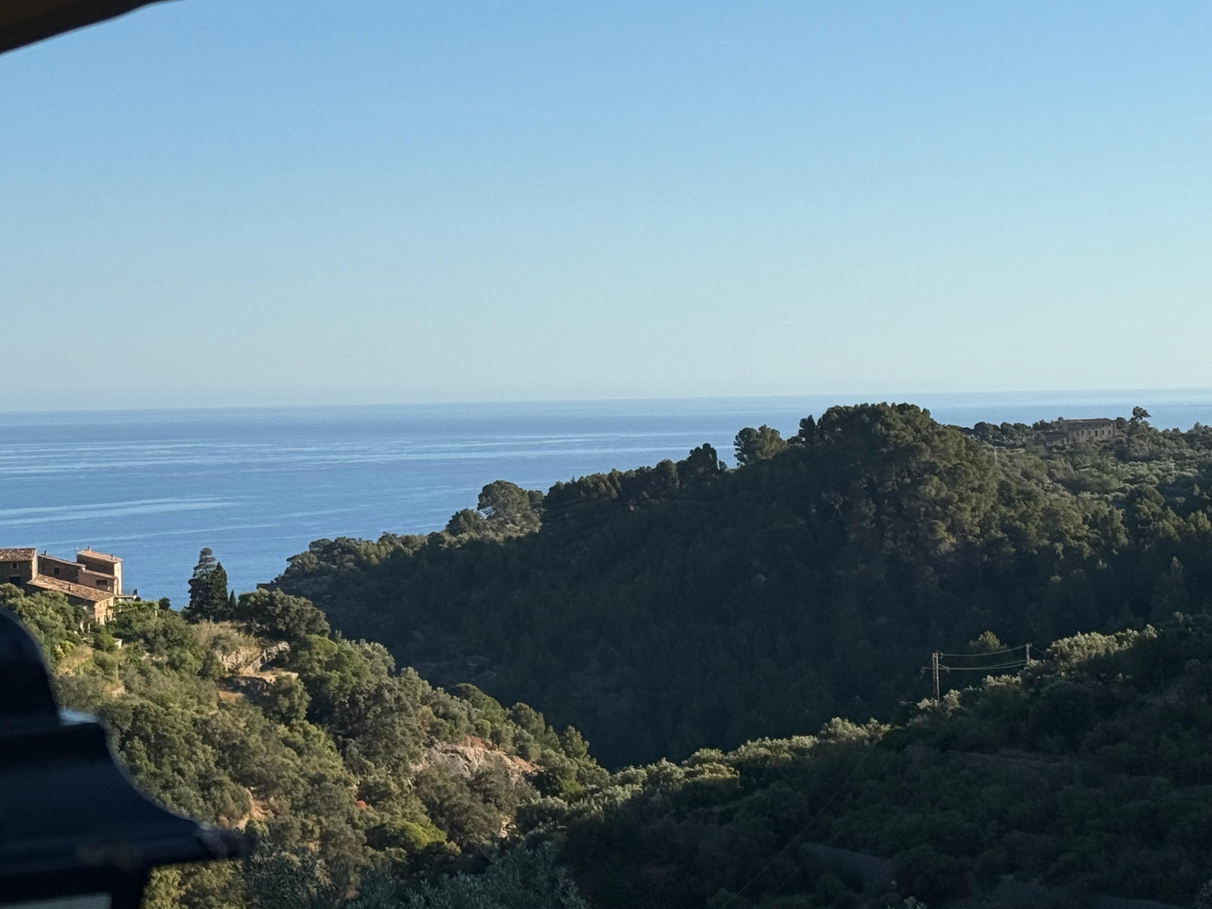 Morning view