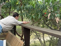 Visits from the local wildlife