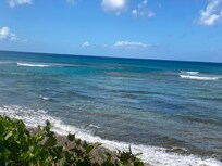 View from the backyard table. Loved having my morning coffee there!