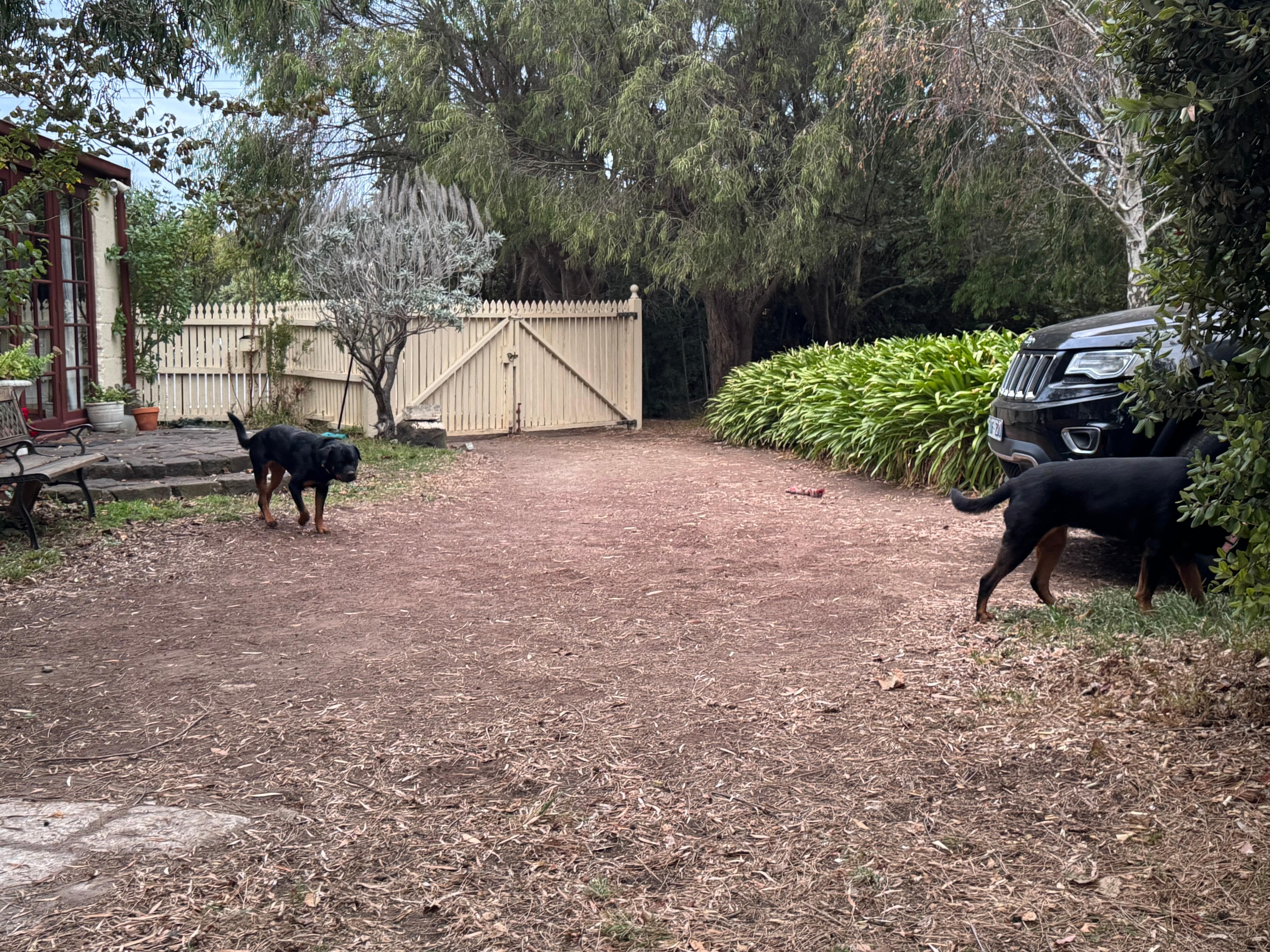 Well fenced front yard