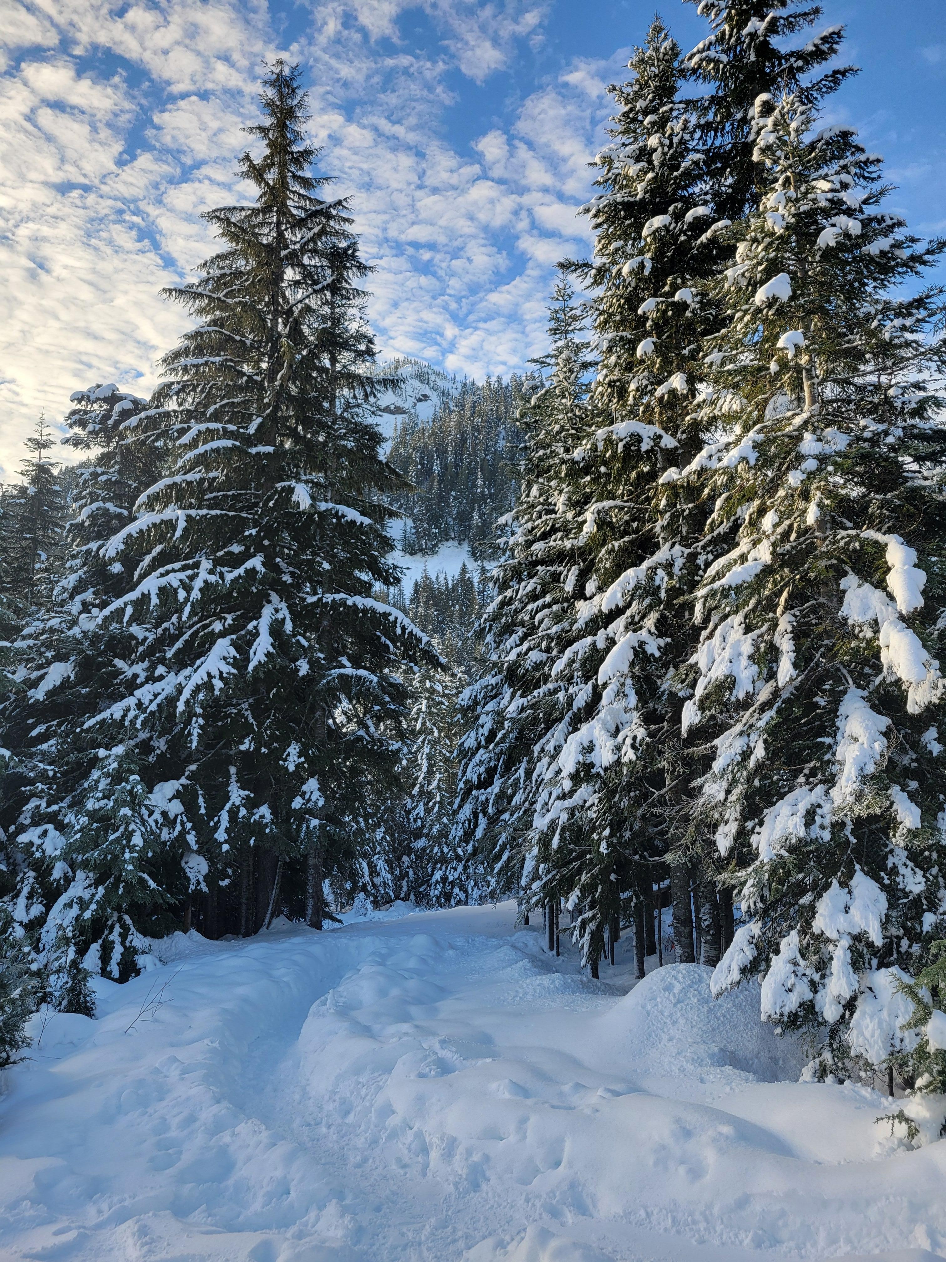 Best back yard view!