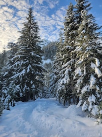 Best back yard view!