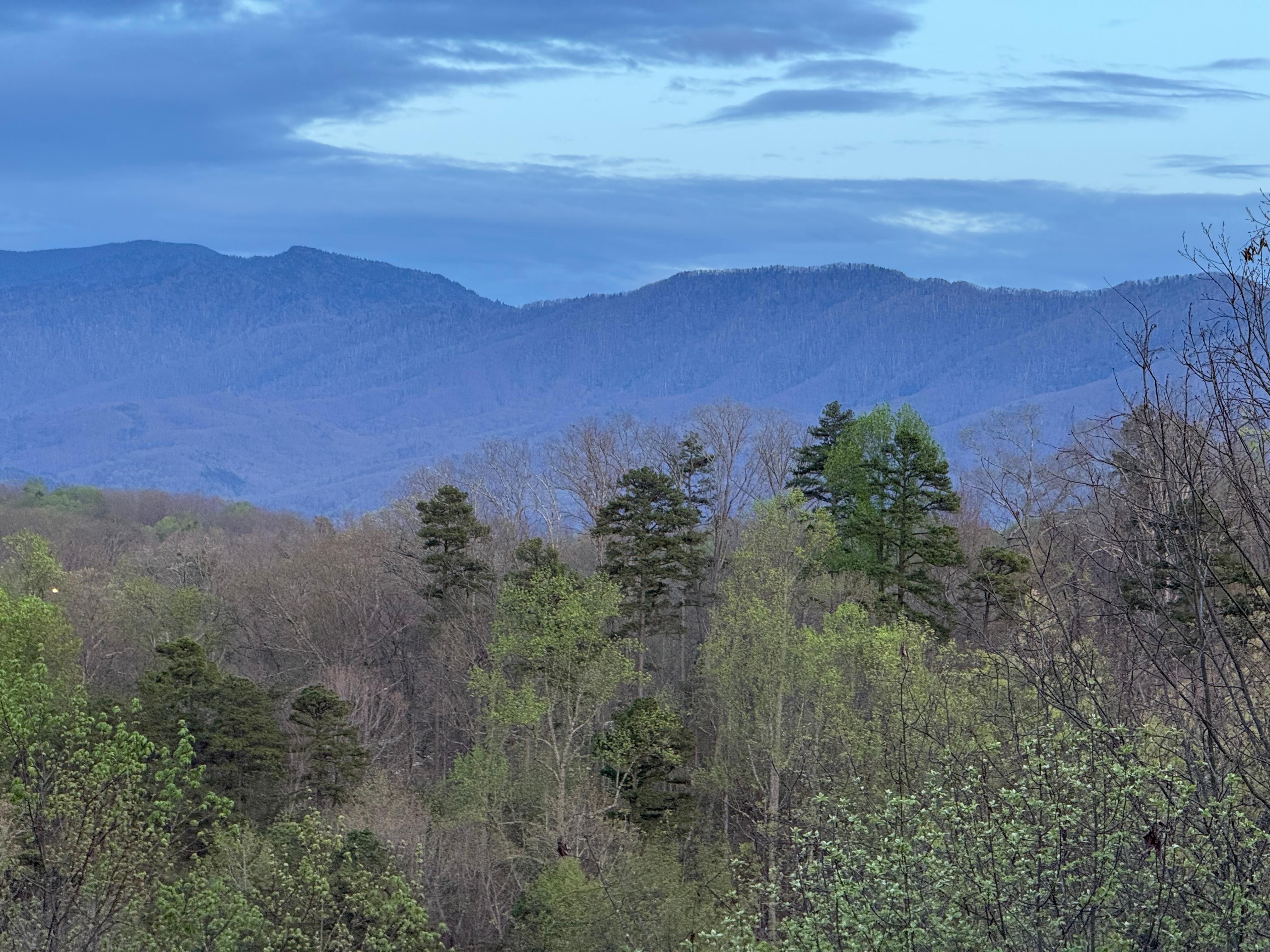 Back porch view looking east Nightfall