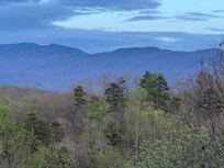 Back porch view looking east Nightfall