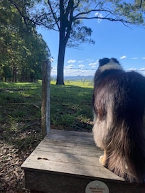 Beautiful walk around the property