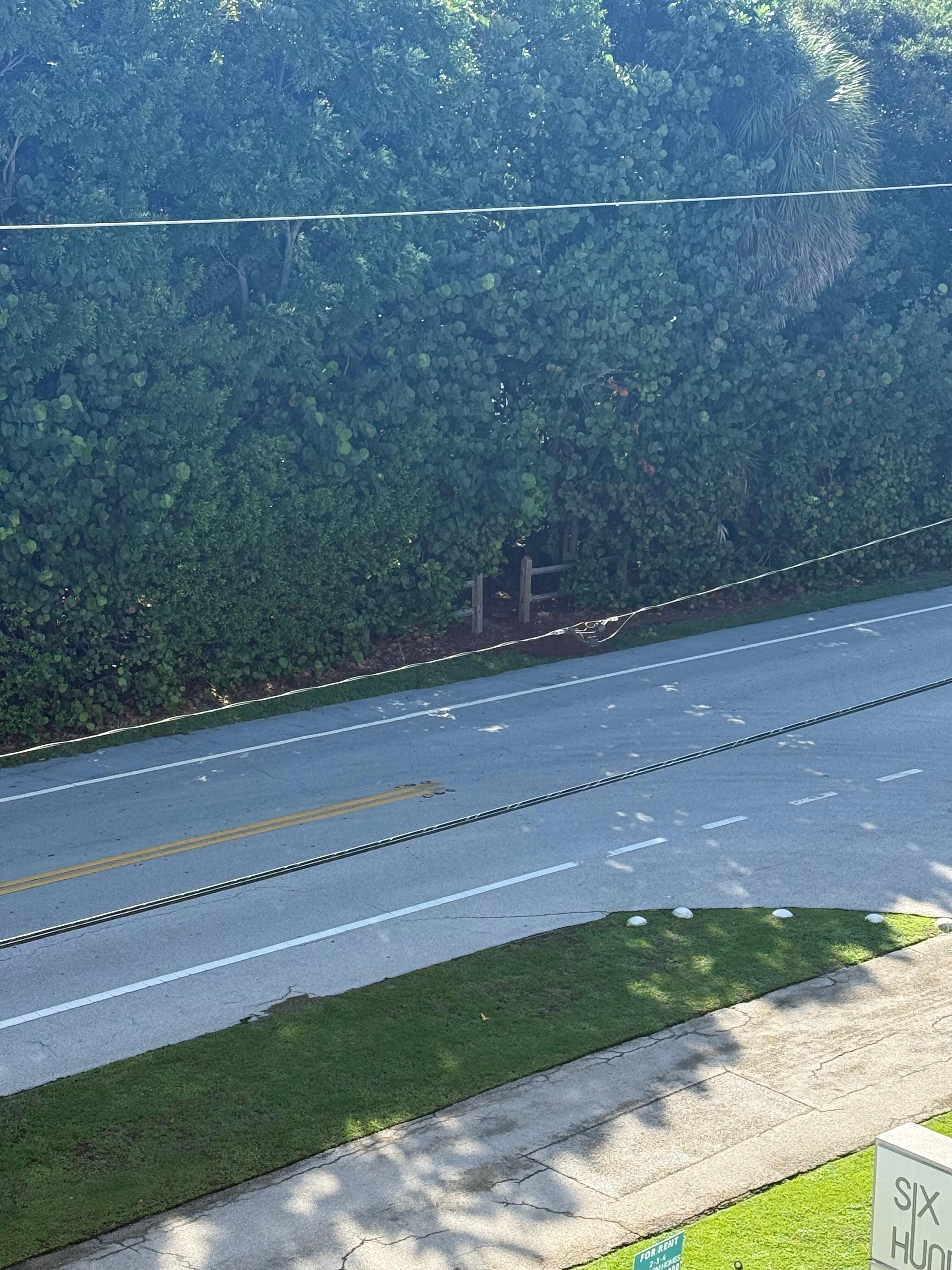 Path to beach from 4th floor 