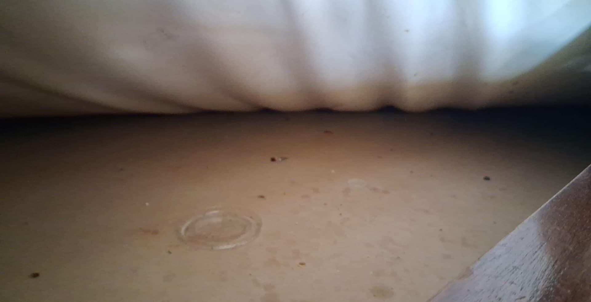 dirty bed