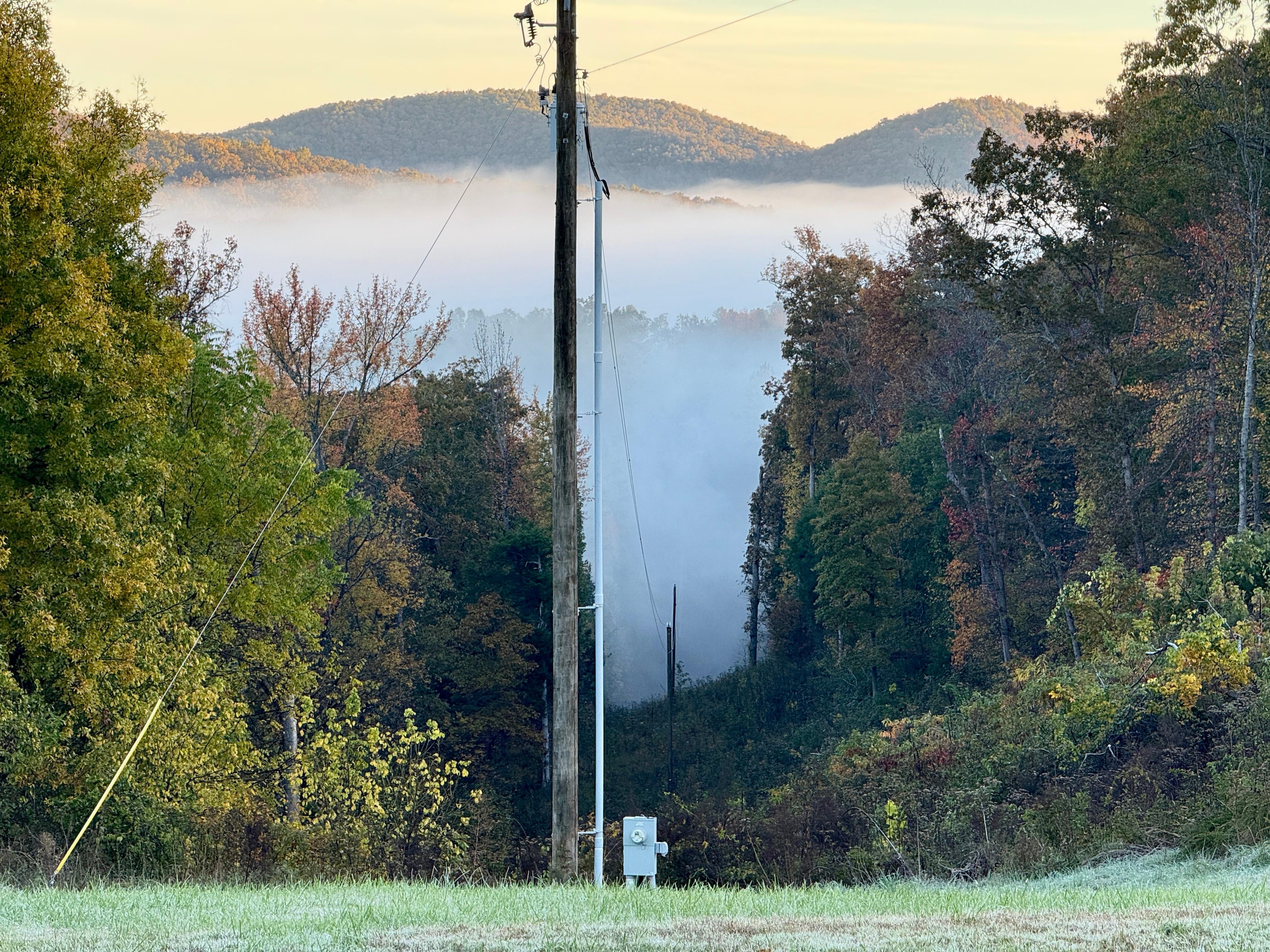 Fog hanging over the Buffalo river early in the morning