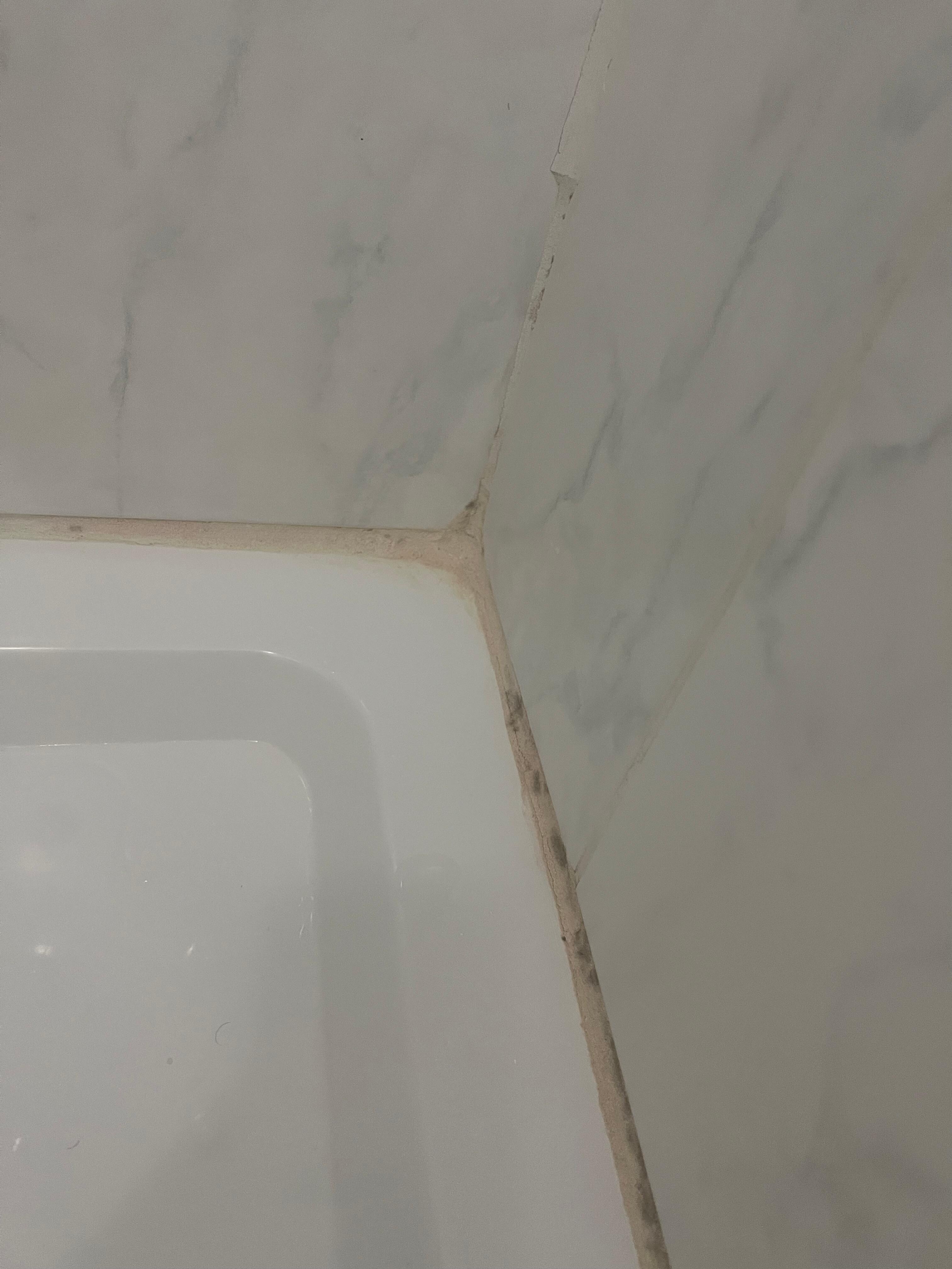 red (and black?) mold in shower corner